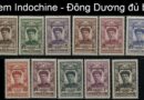tem-indochine-dong-duong-du-bo