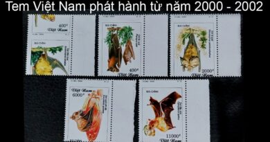 tem-viet-nam-2000-2002