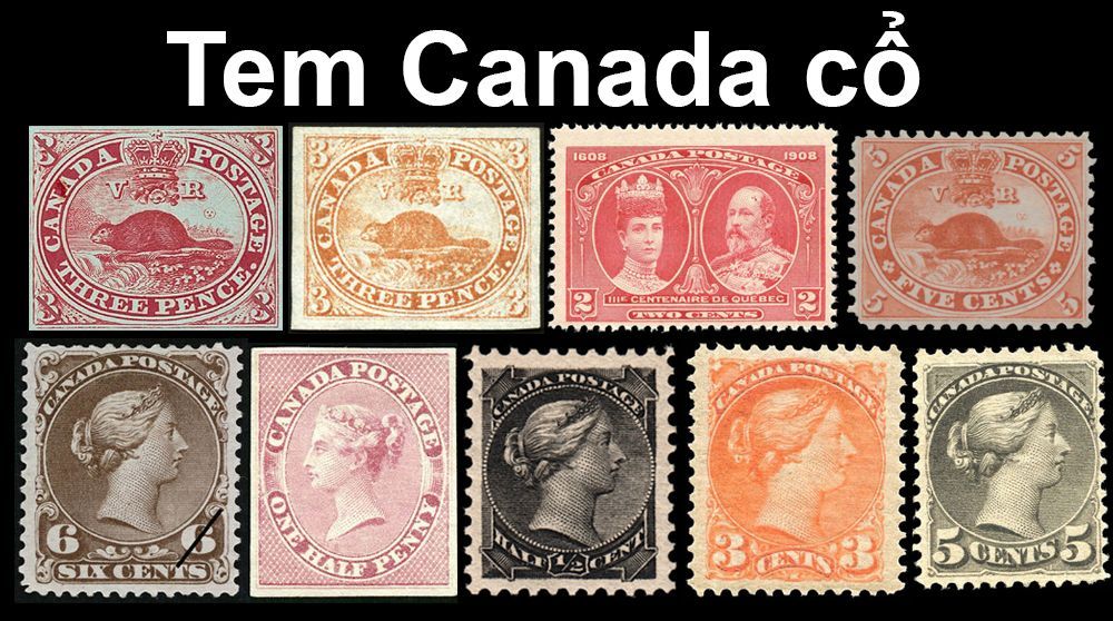tem-canada-co-xua