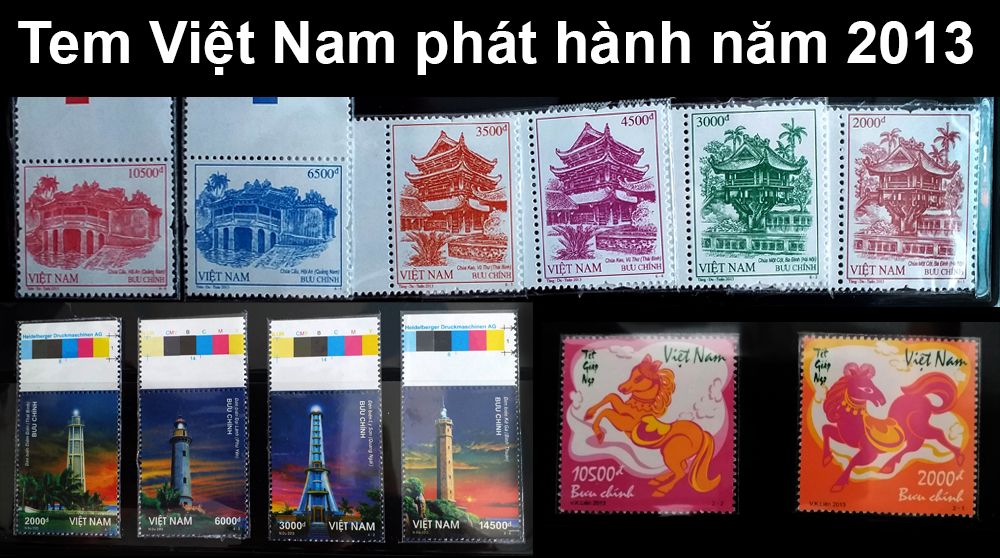 tem-viet-nam-2013