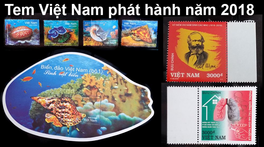 tem-viet-nam-2018