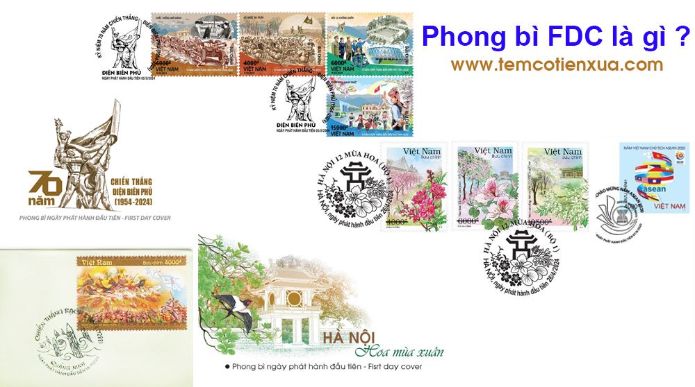 phong-bi-fdc-la-gi-3