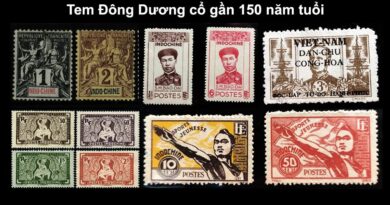 tem-dong-duong-indochine-gan-150-nam