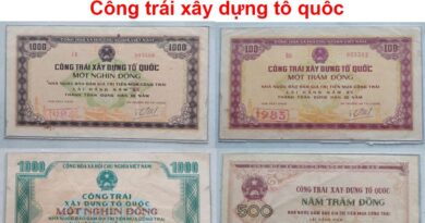 cong-trai-xay-dung-to-quoc